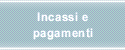 Incassi e pagamenti