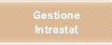 Gestione Intrastat